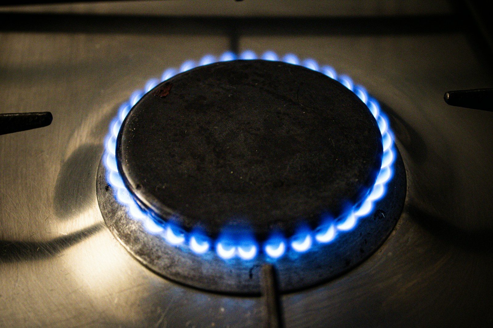 Gas cooktop burner with an even blue flame on a stainless steel hob